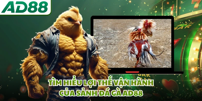 Tìm hiểu lợi thế vận hành của sảnh đá gà AD88 