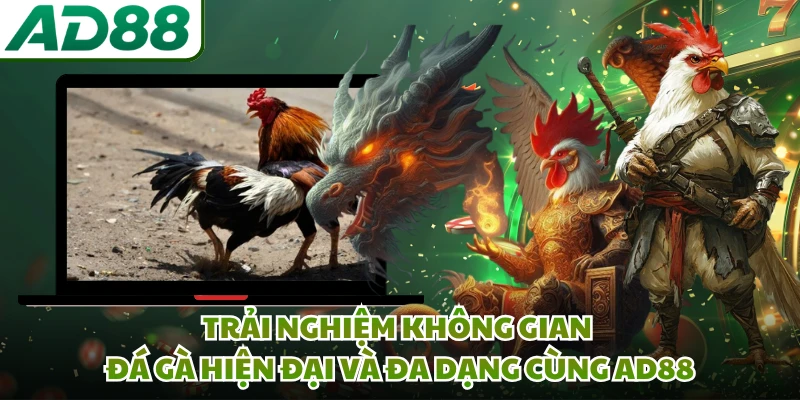 Trải nghiệm không gian đá gà hiện đại và đa dạng cùng AD88 